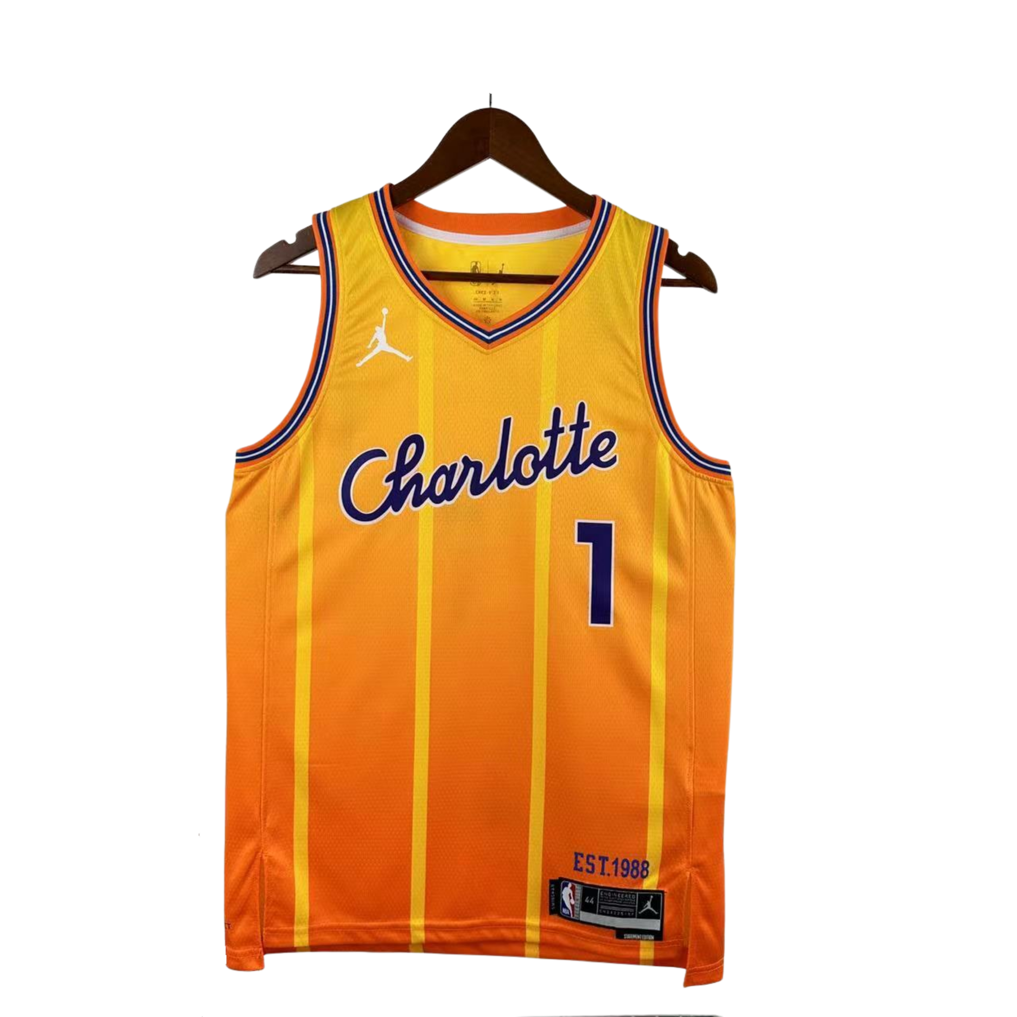 Jordan NBA Charlotte Hornets Jersey 2025/26