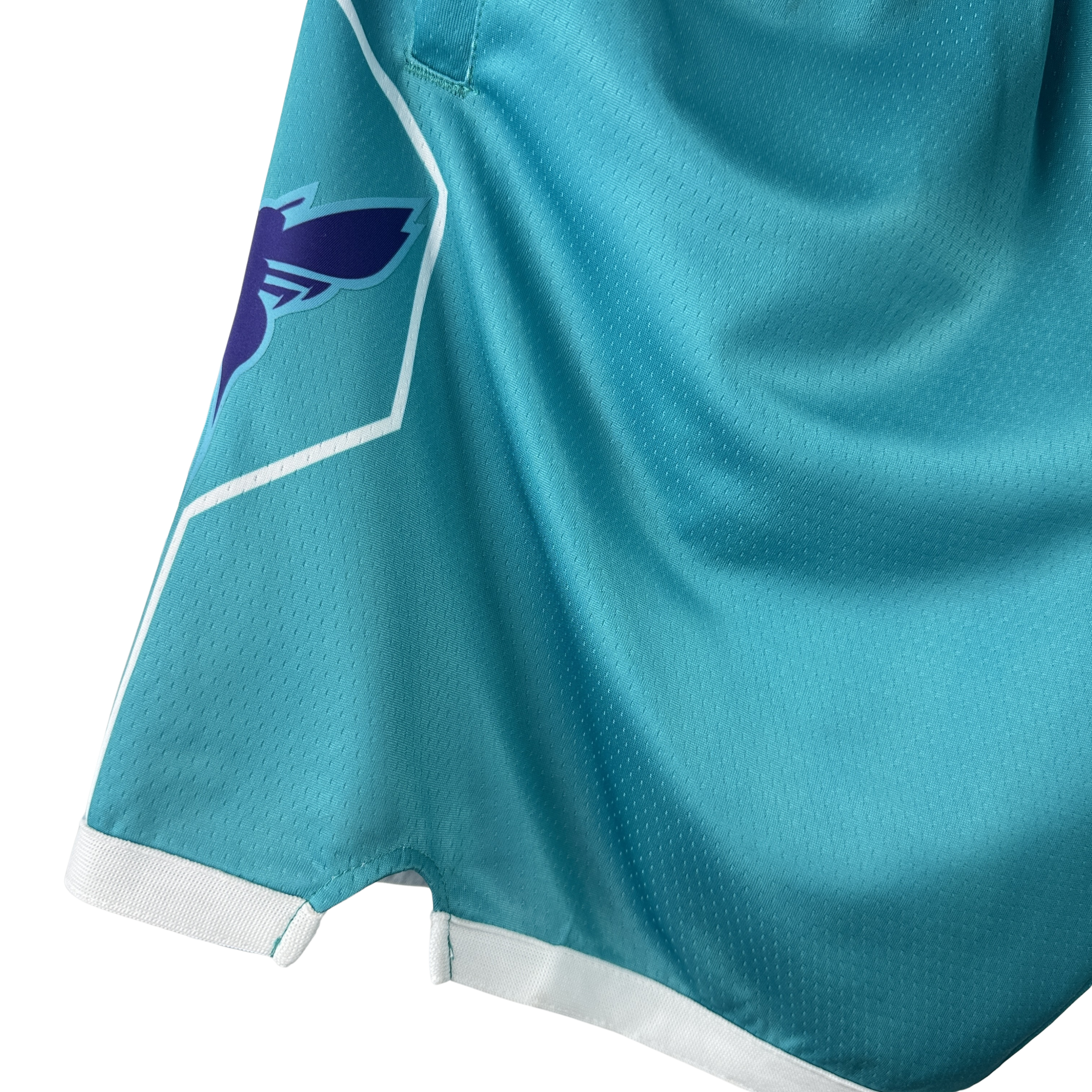 NBA Jordan Charlotte Hornets Shorts