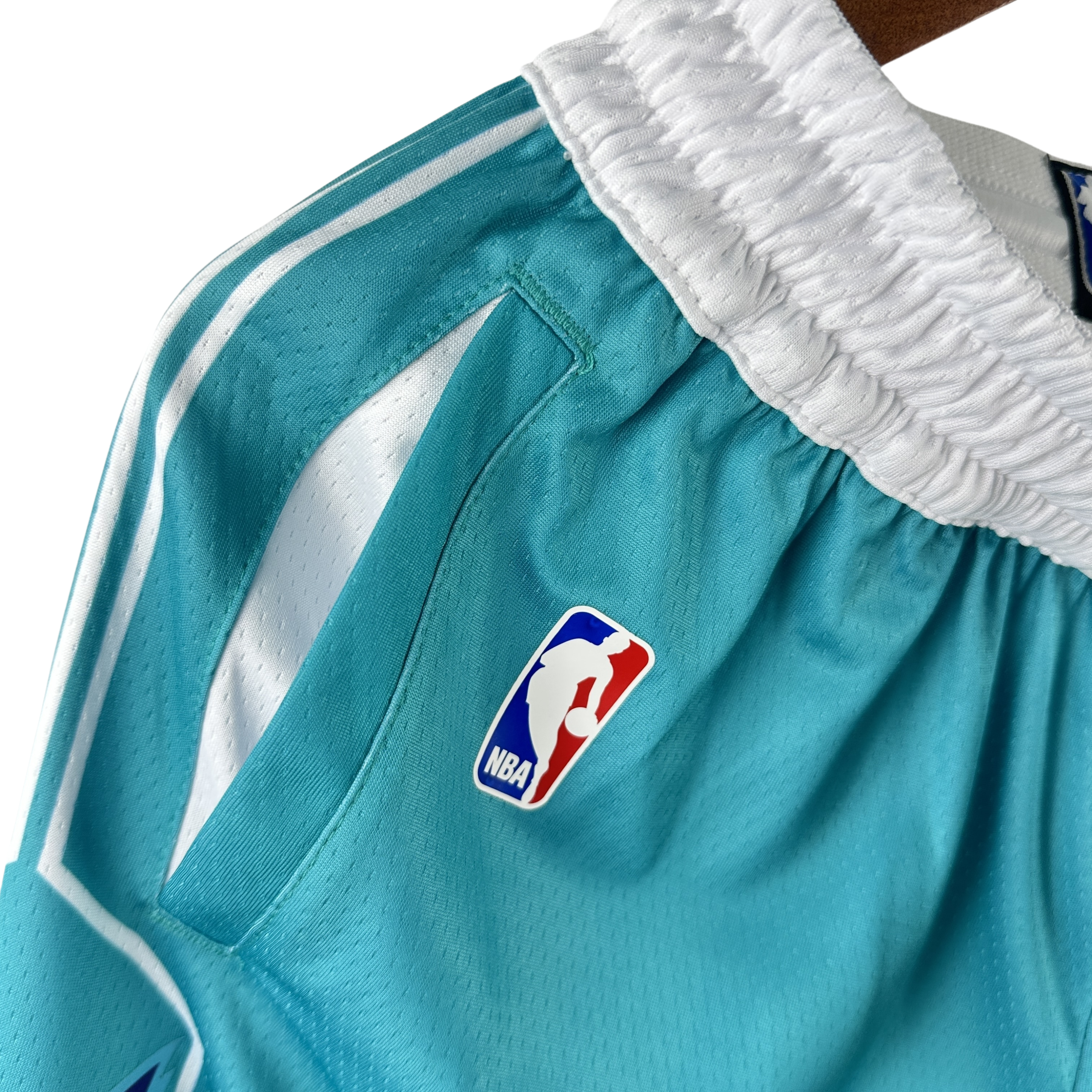 NBA Jordan Charlotte Hornets Shorts