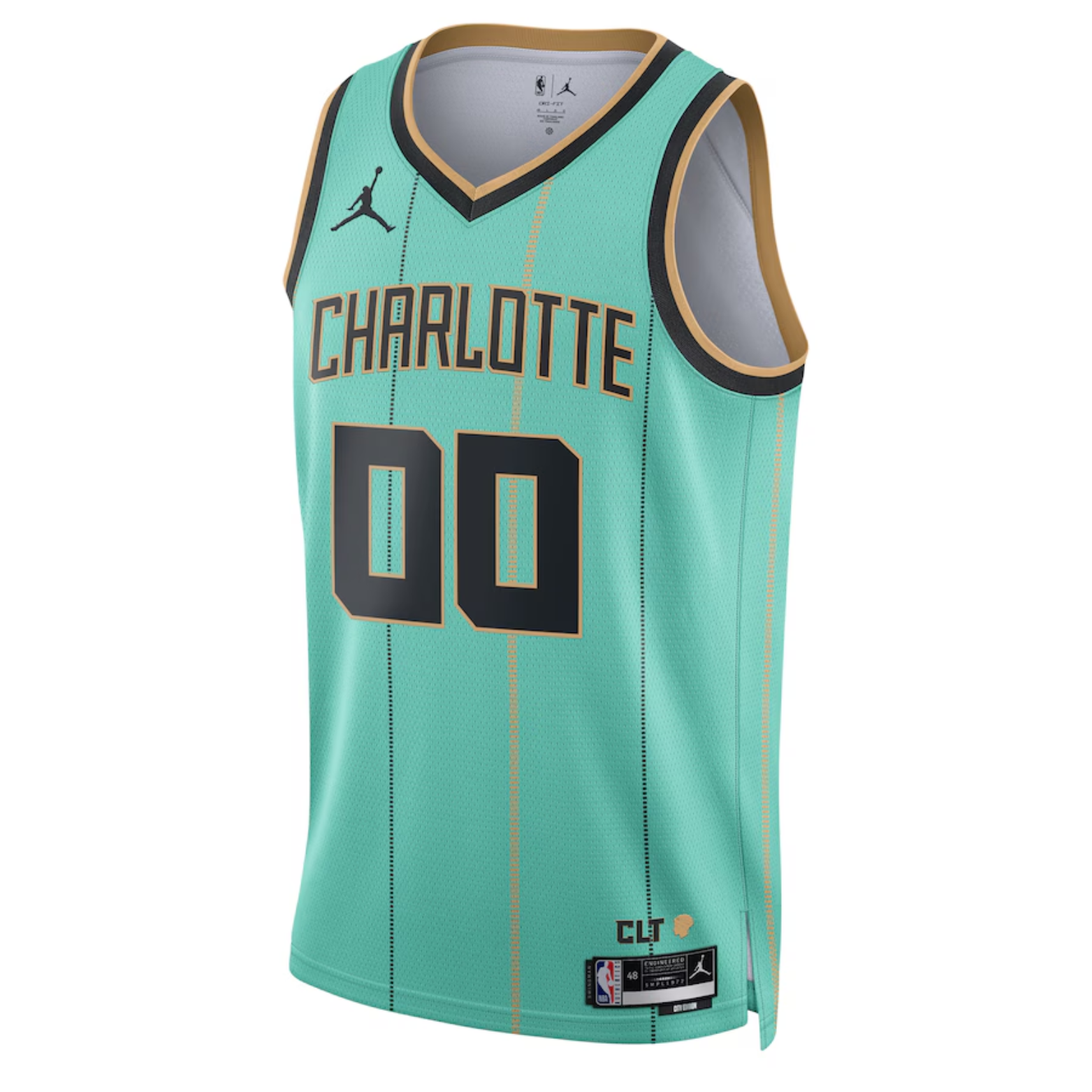 Jordan NBA Charlotte Hornets City Edition Jersey 2024/25