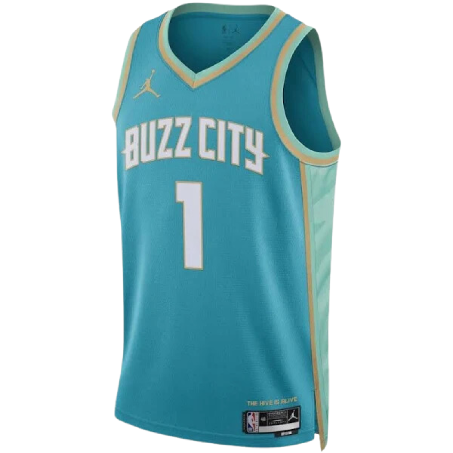 Jordan NBA Charlotte Hornets City Edition Jersey 2023/24