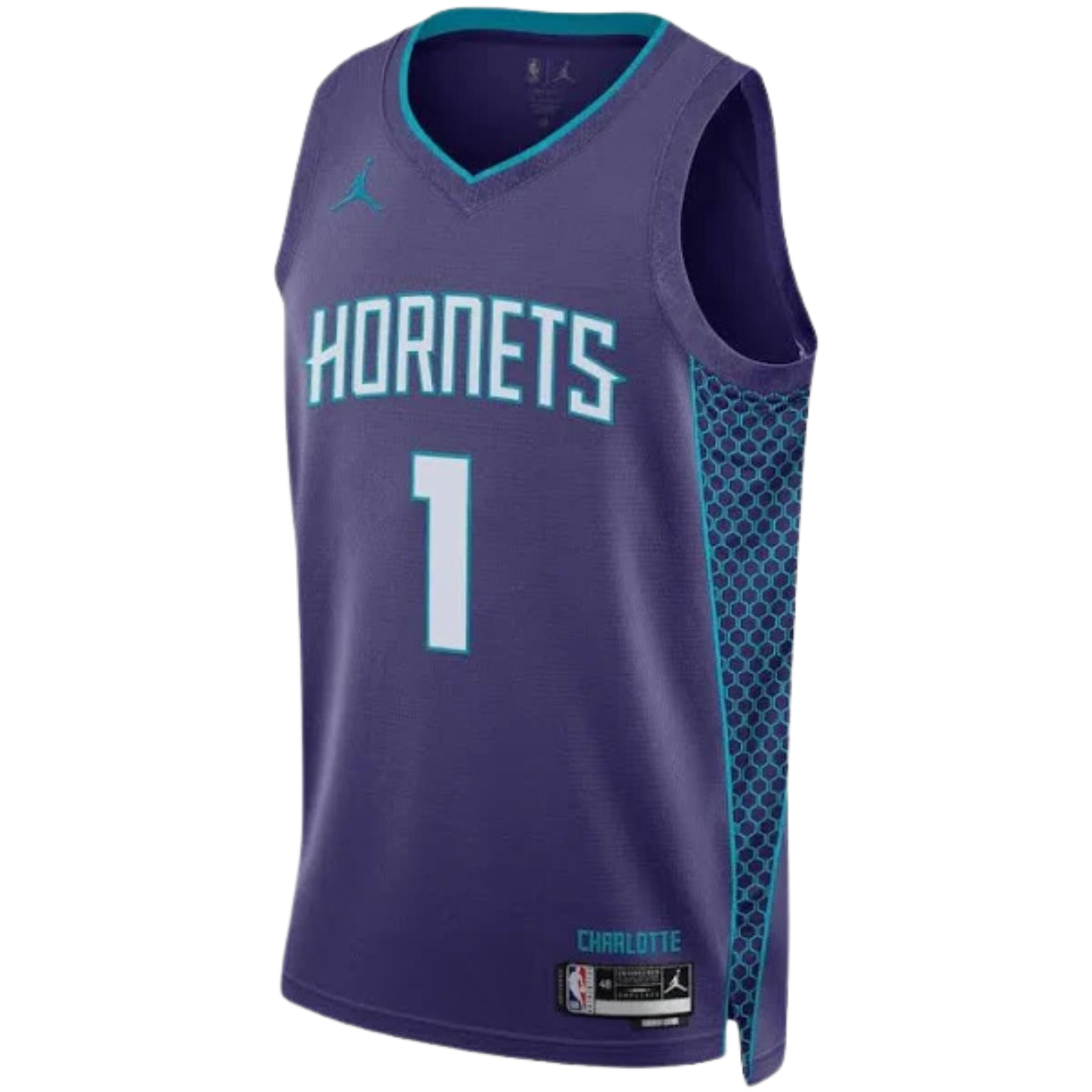 Jordan NBA Charlotte Hornets Statement Edition Jersey 2023/24