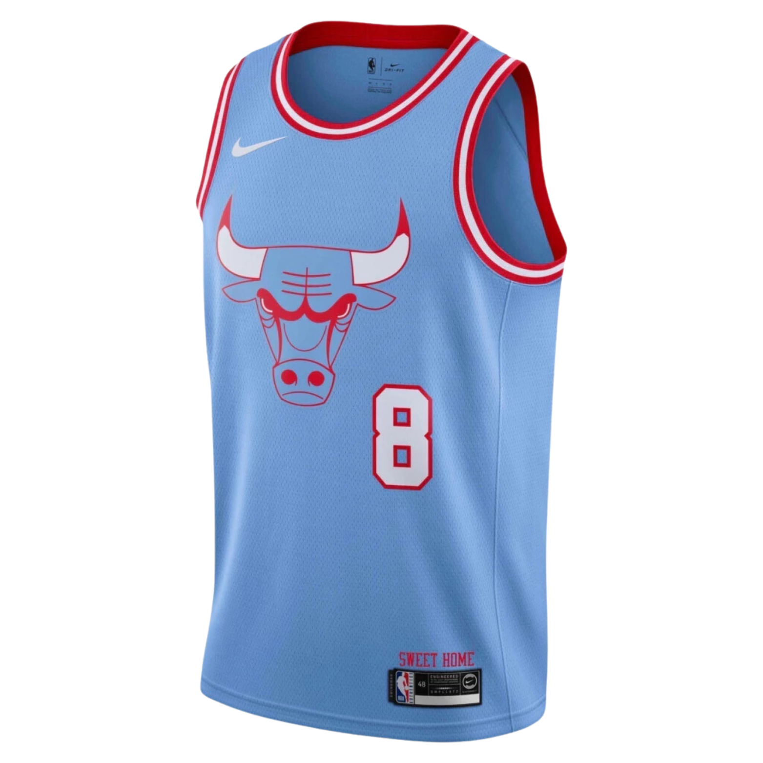 Nike NBA Chicago Bulls City Edition Jersey 2019/20