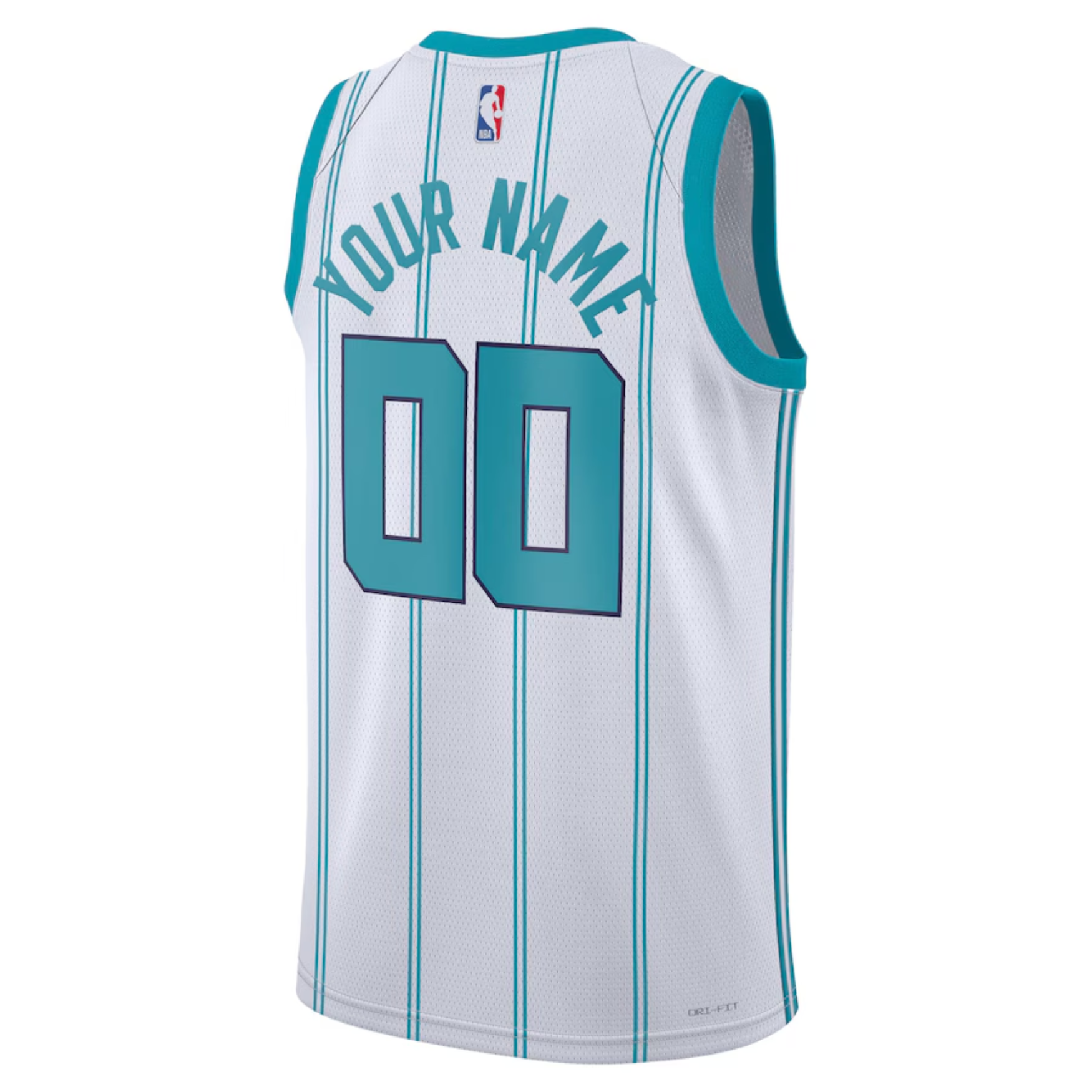 Jordan NBA Charlotte Hornets Jersey 2023/24