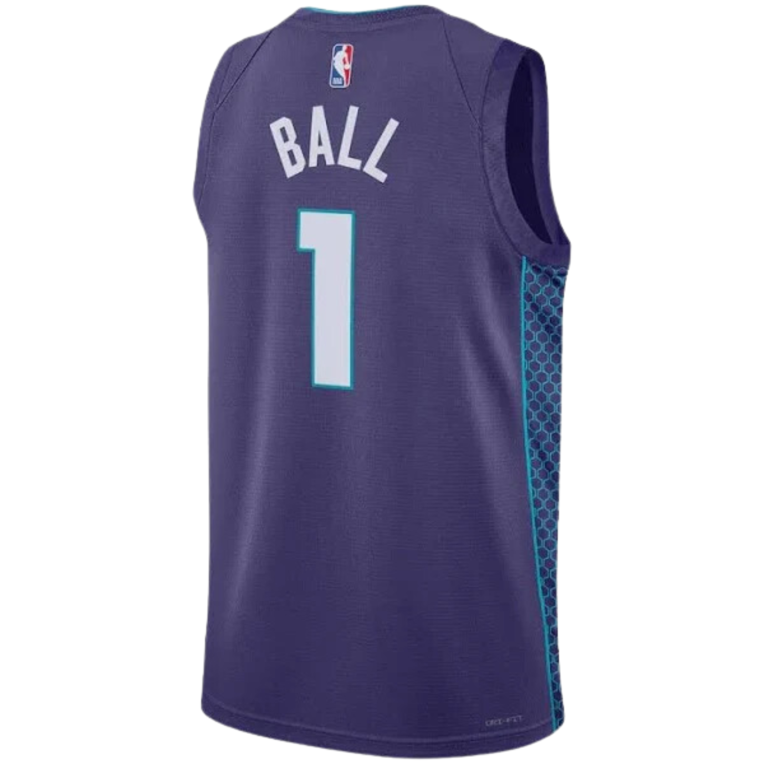 Jordan NBA Charlotte Hornets Statement Edition Jersey 2023/24
