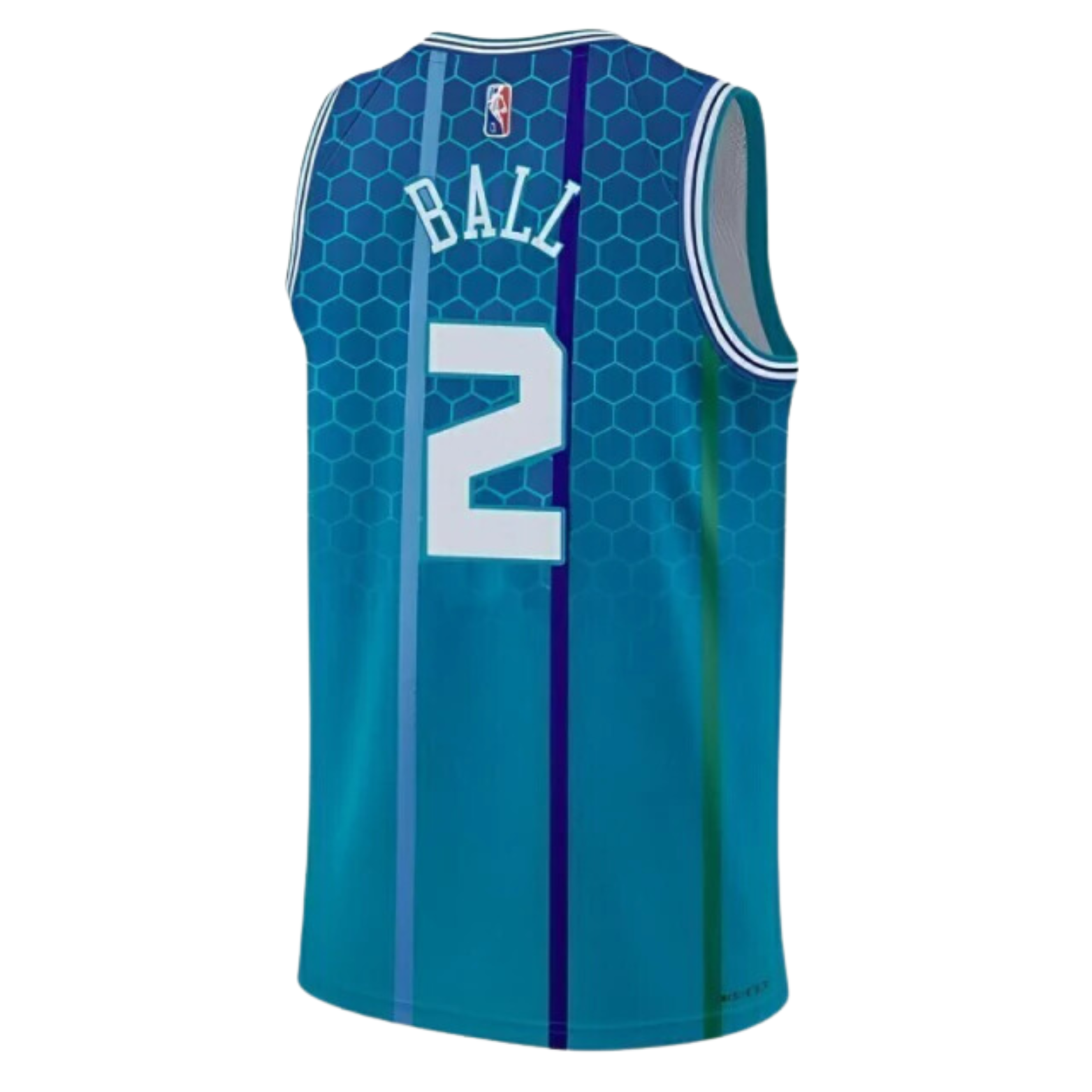 Jordan NBA Charlotte Hornets City Edition 75 Years Jersey 2021/22