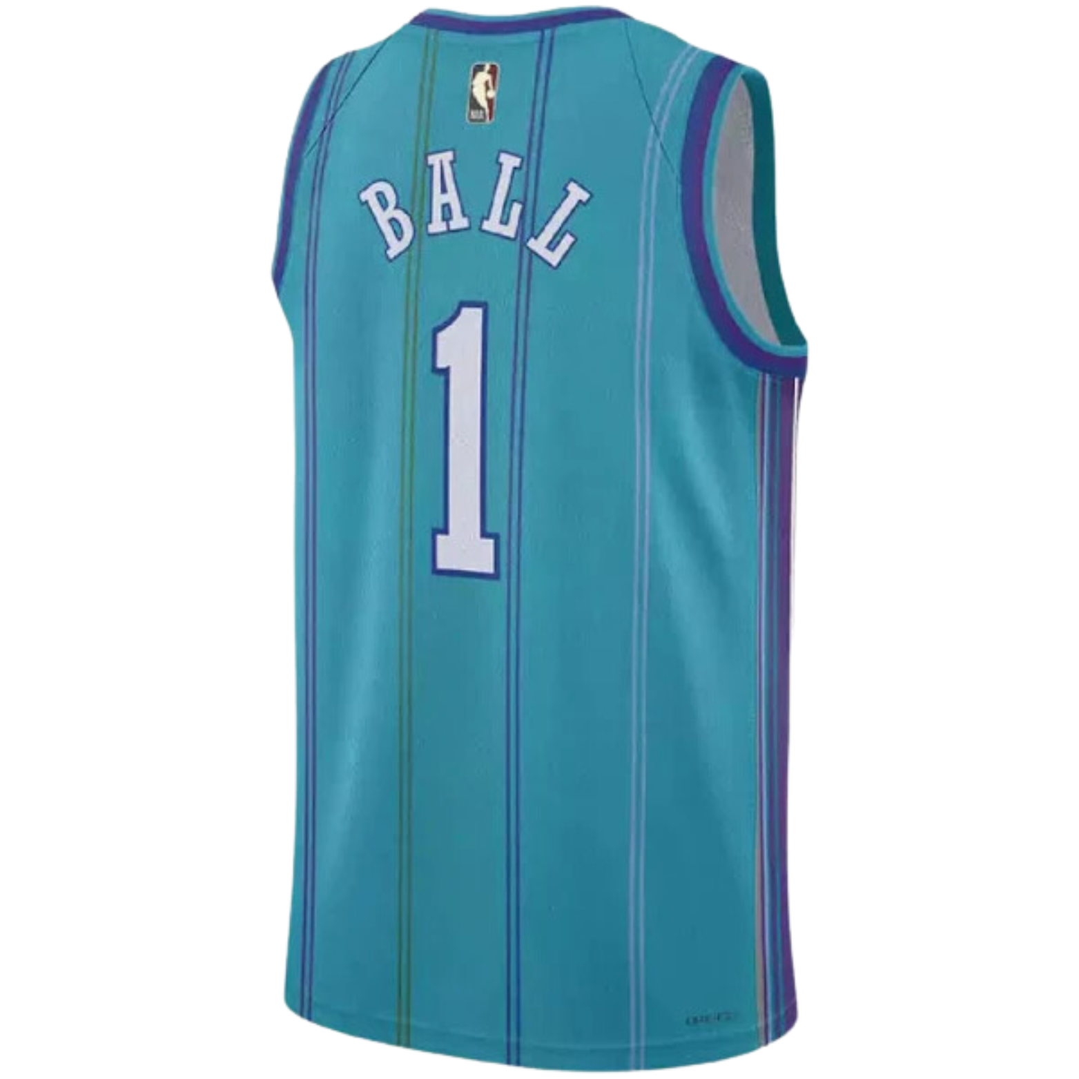 Jordan NBA Charlotte Hornets Classic Edition Jersey 2023/24