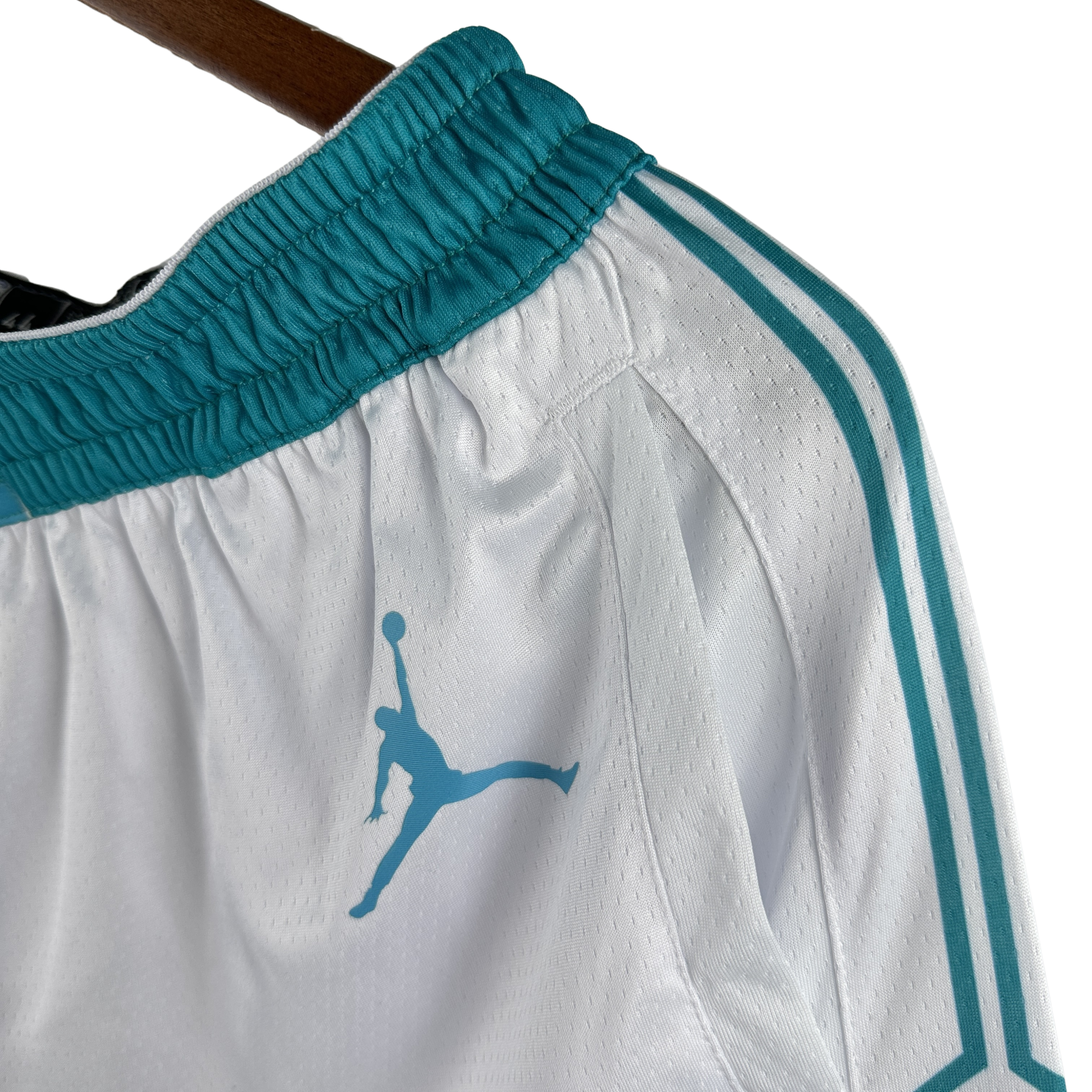 NBA Jordan Charlotte Hornets Shorts