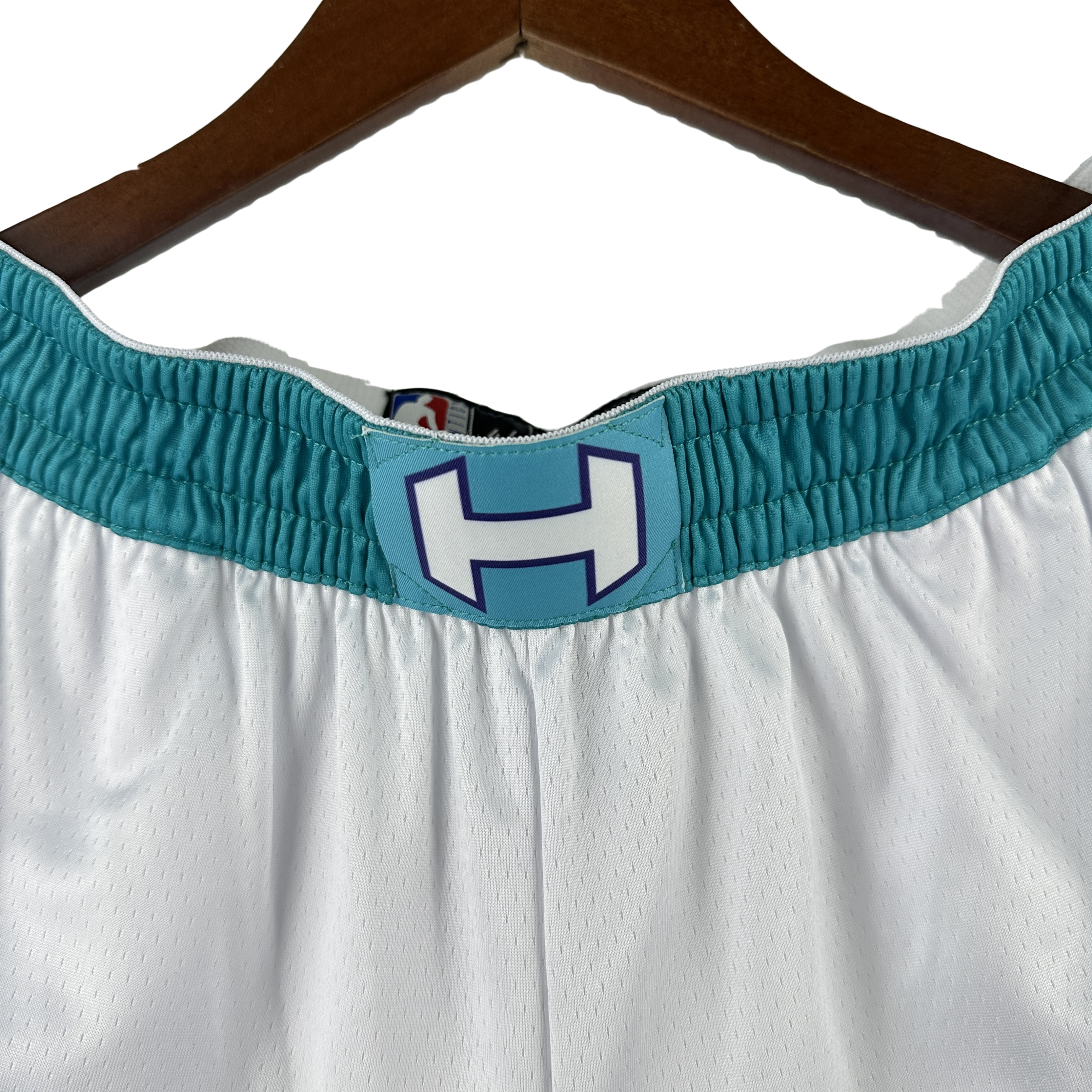 NBA Jordan Charlotte Hornets Shorts