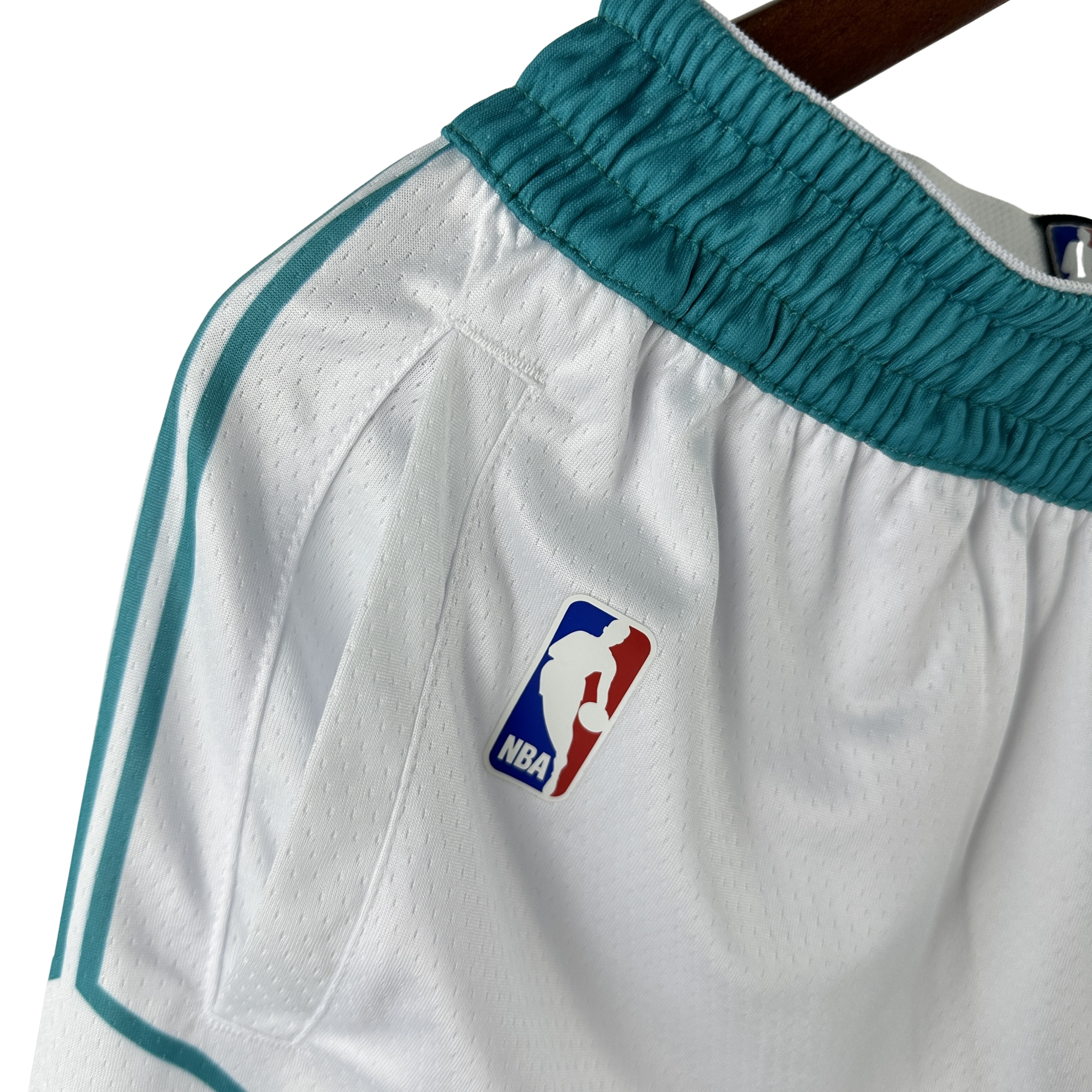 NBA Jordan Charlotte Hornets Shorts