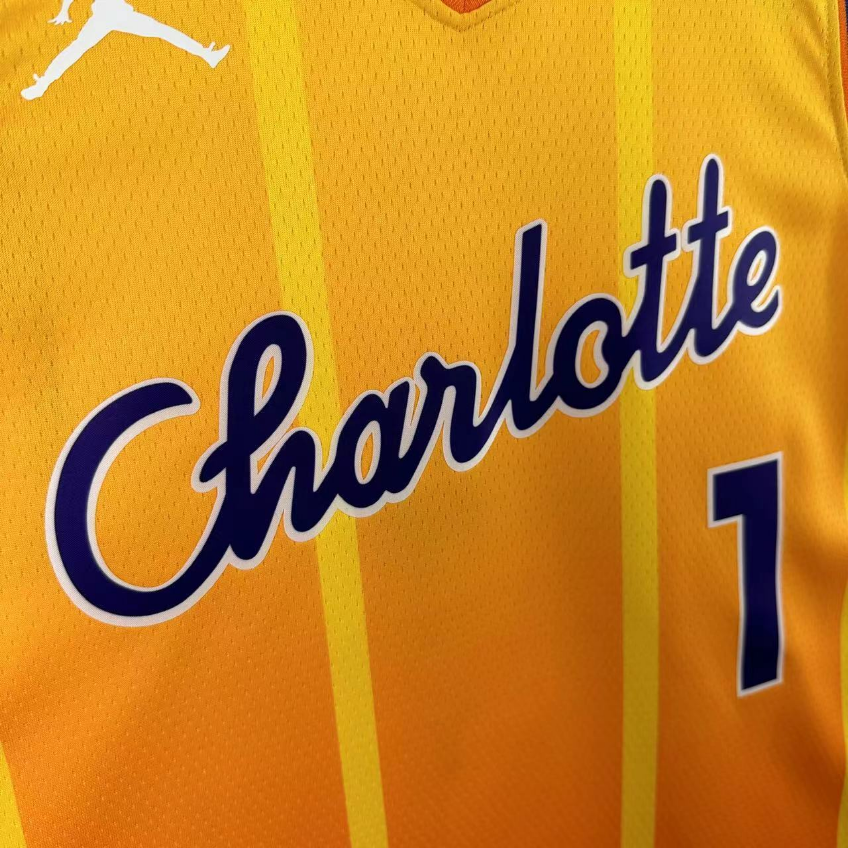 Jordan NBA Charlotte Hornets Jersey 2025/26