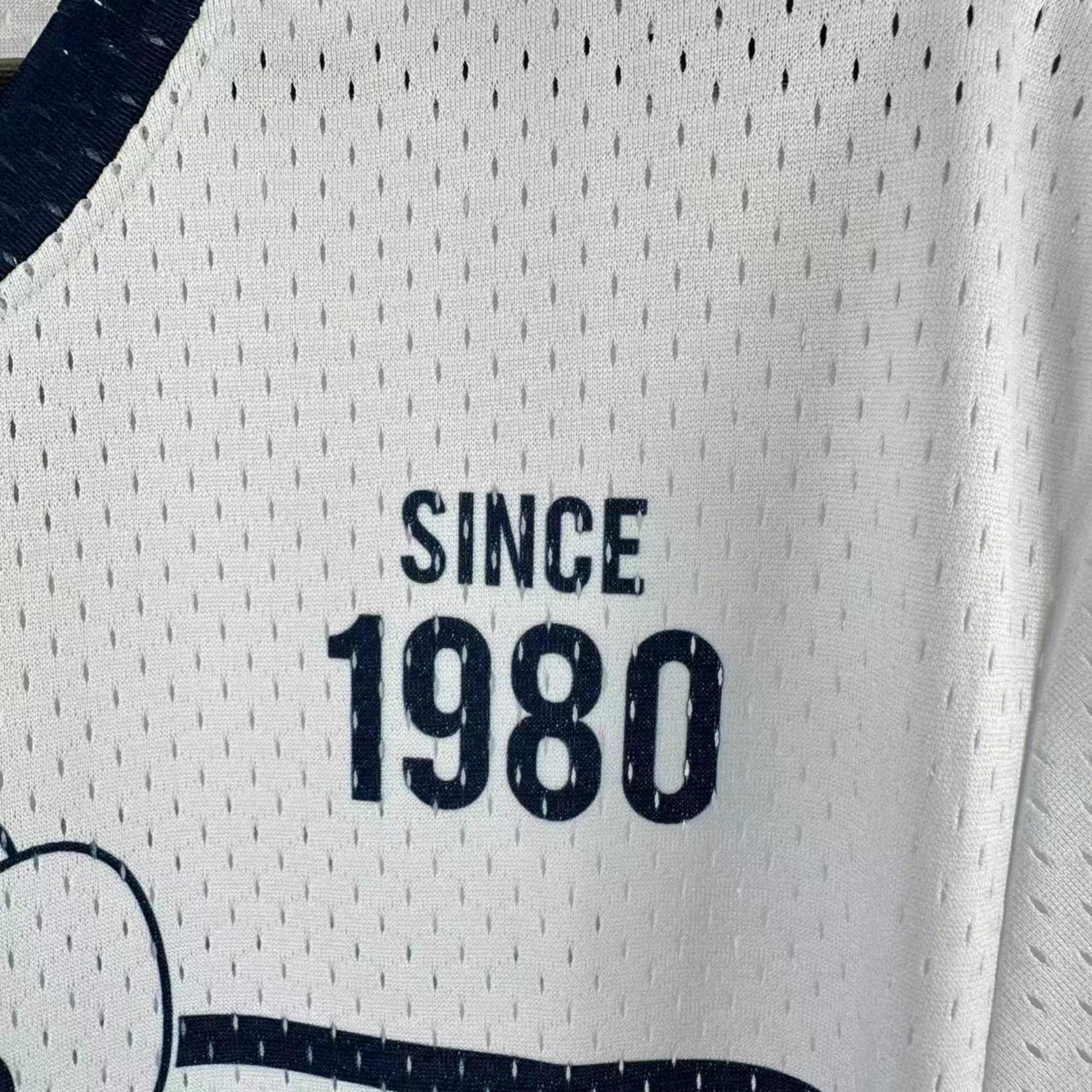 NBA Dallas Mavericks Mitchell & Ness Hardwood Classics Vintage Jersey