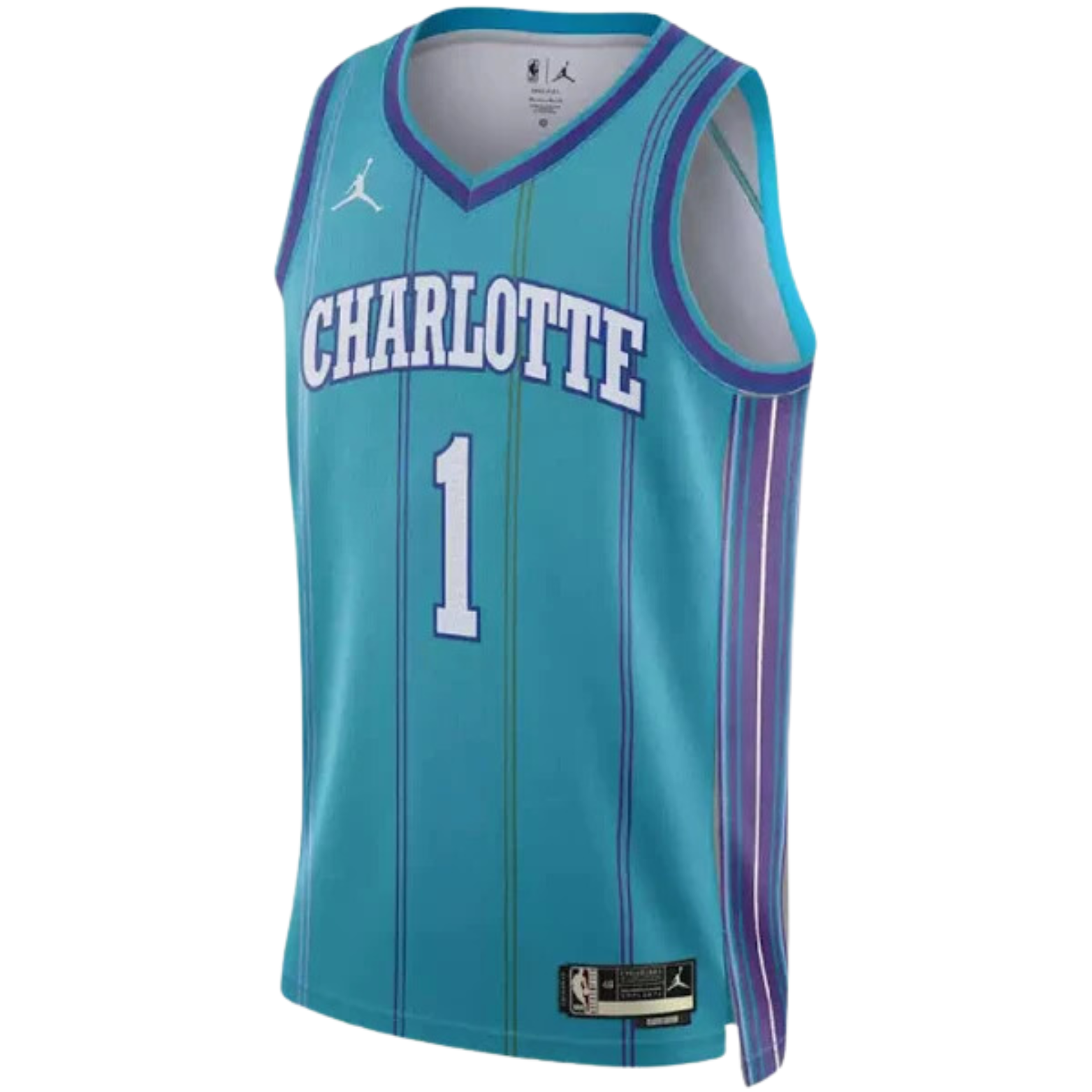 Jordan NBA Charlotte Hornets Classic Edition Jersey 2023/24