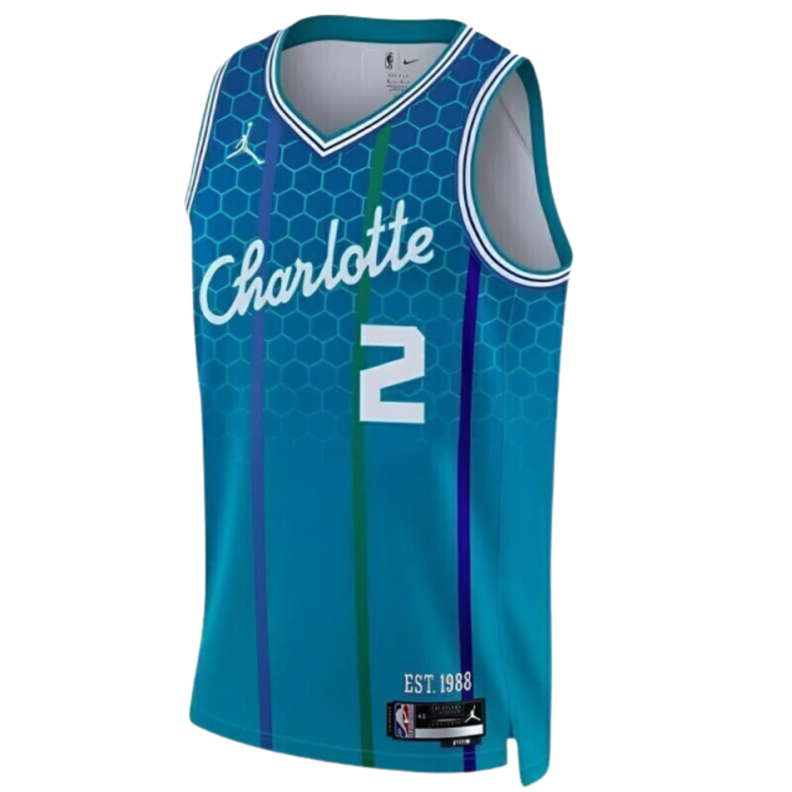 Jordan NBA Charlotte Hornets City Edition 75 Years Jersey 2021/22