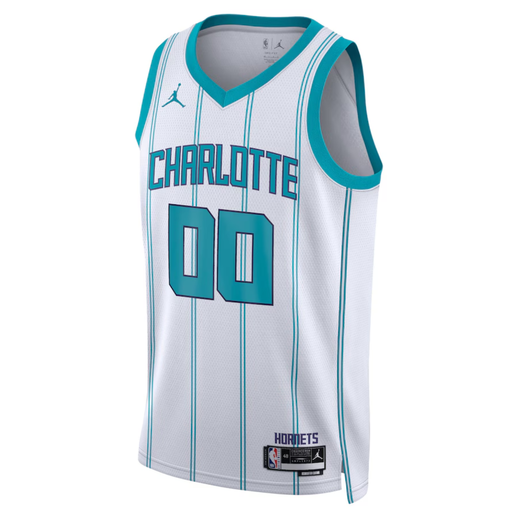 Jordan NBA Charlotte Hornets Jersey 2023/24
