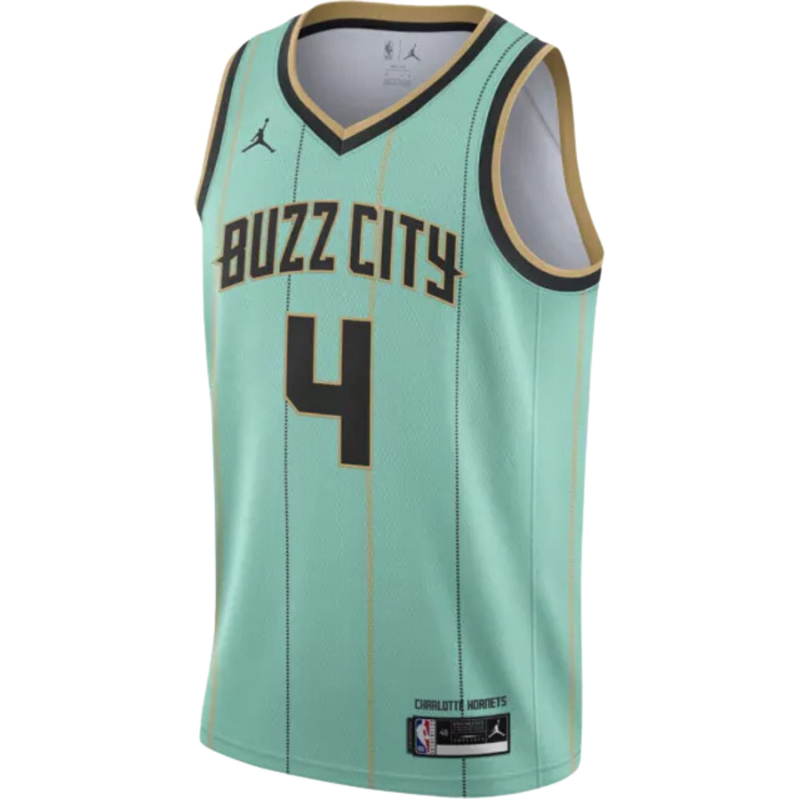 Jordan NBA Charlotte Hornets City Edition Jersey 2020/21