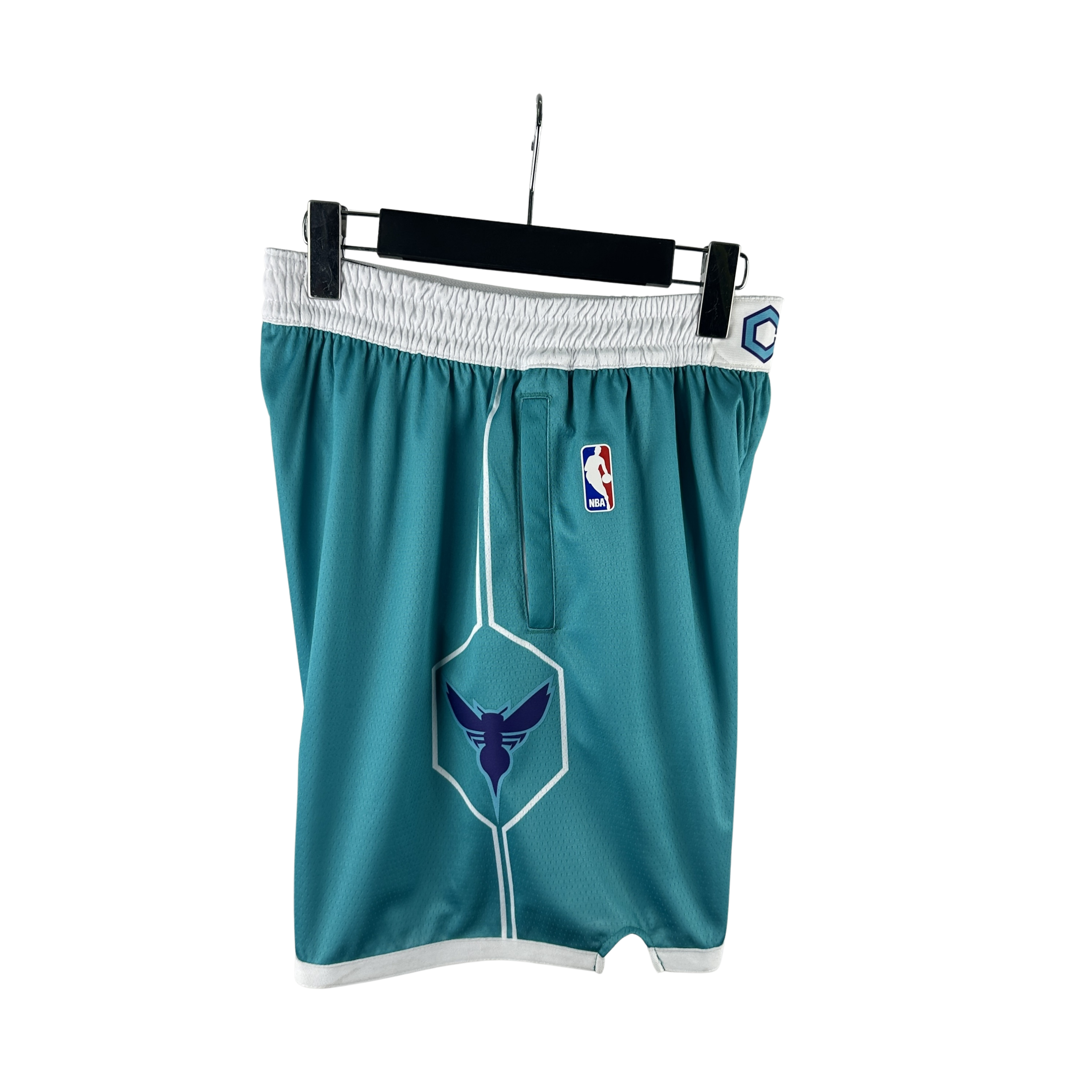 NBA Jordan Charlotte Hornets Shorts