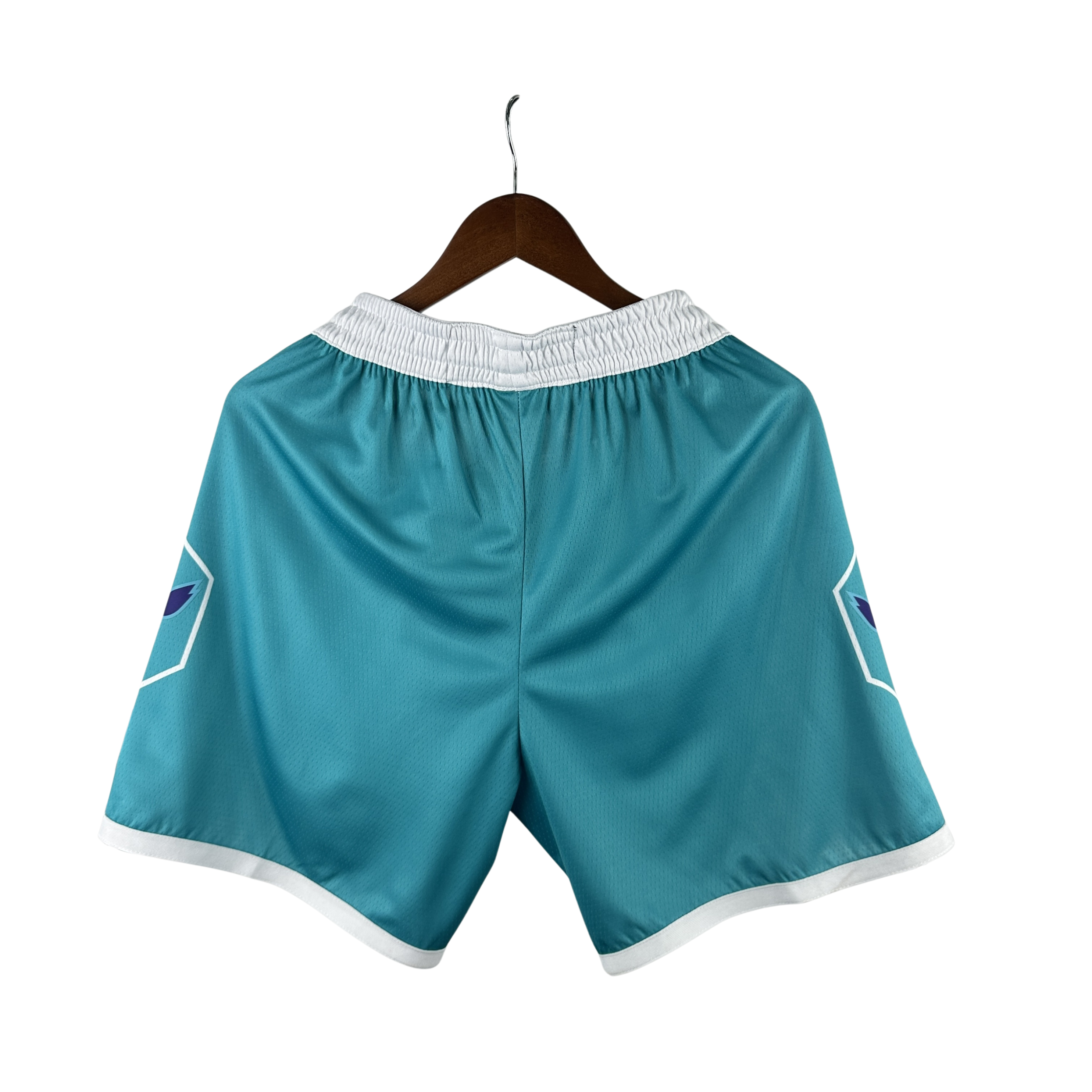 NBA Jordan Charlotte Hornets Shorts