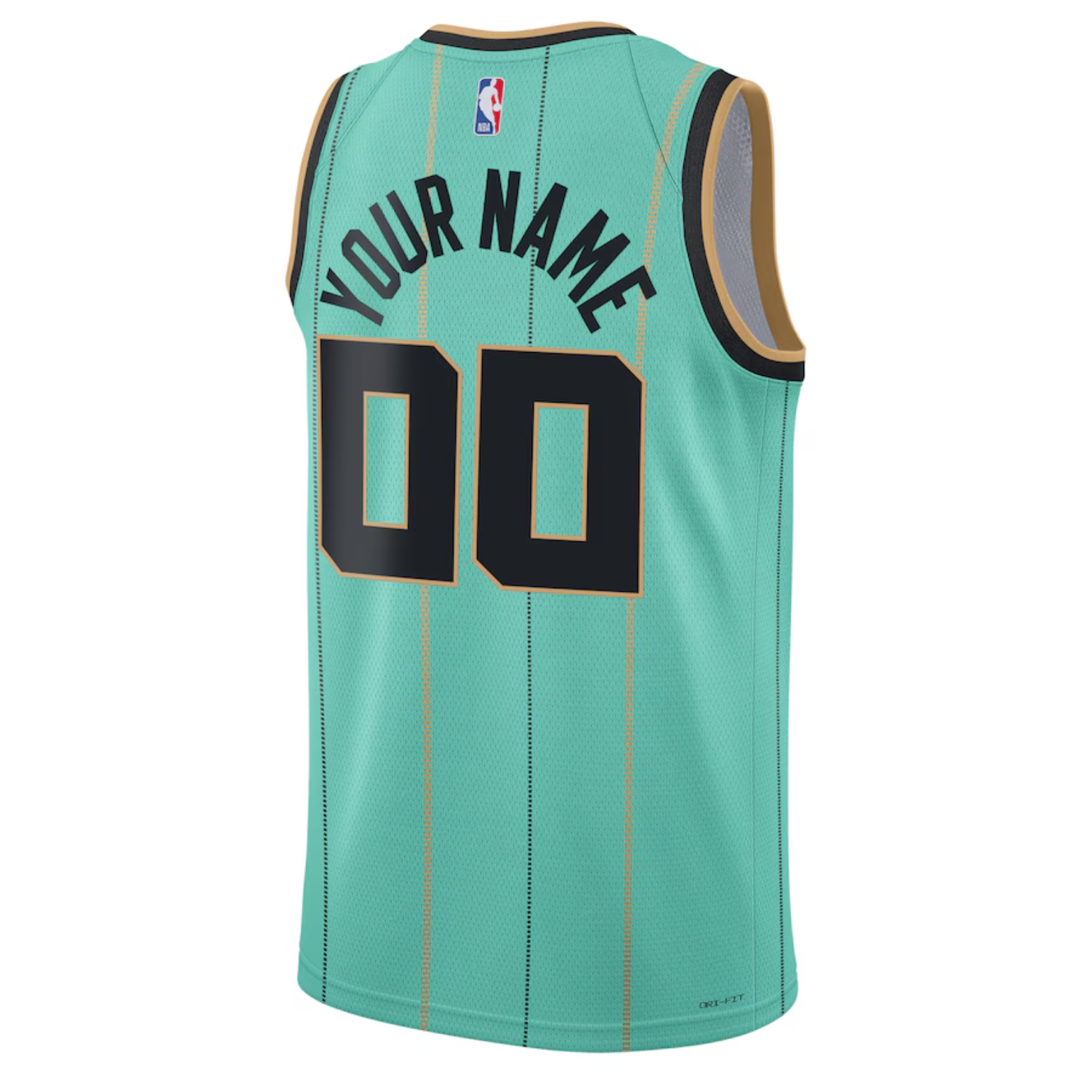 Jordan NBA Charlotte Hornets City Edition Jersey 2024/25