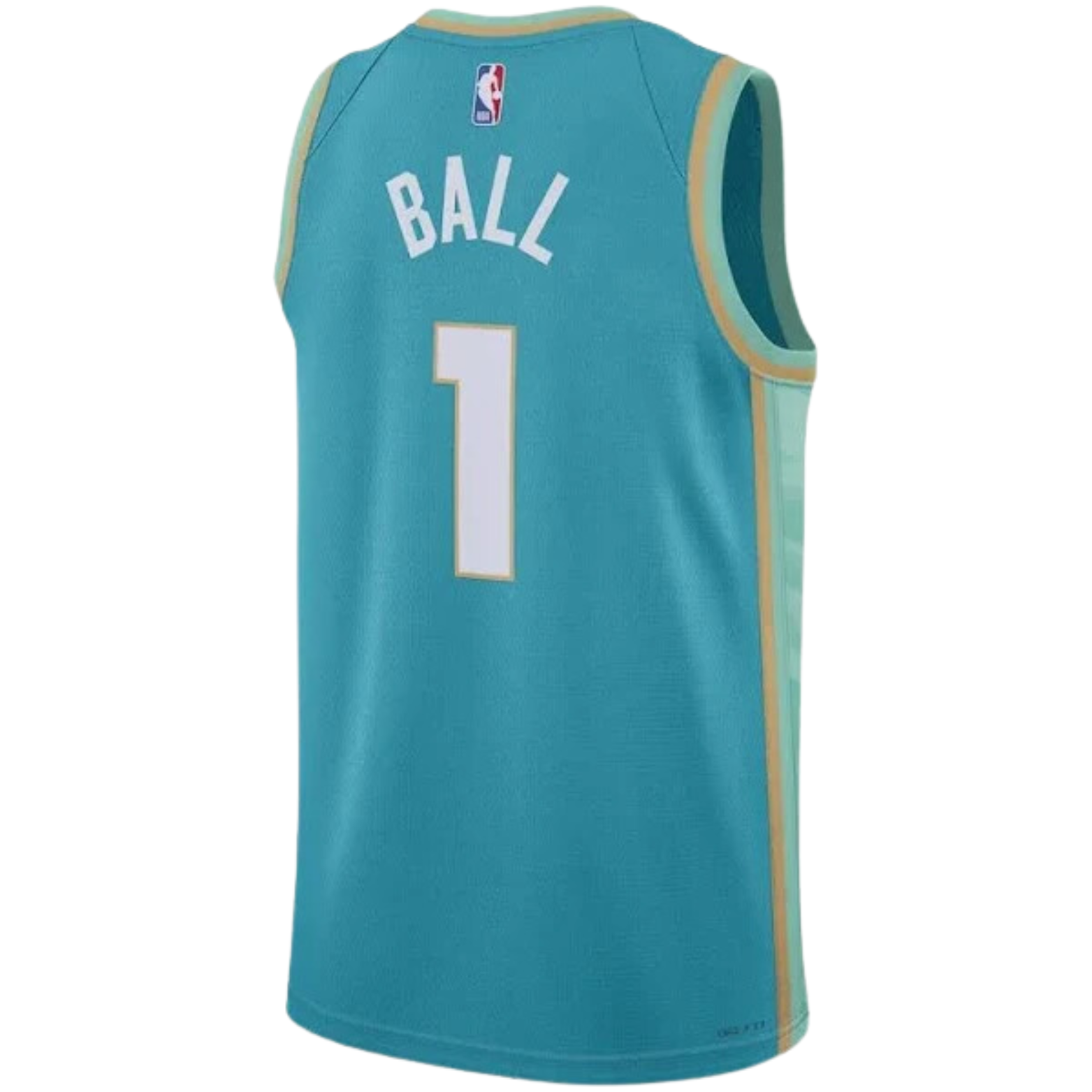 Jordan NBA Charlotte Hornets City Edition Jersey 2023/24