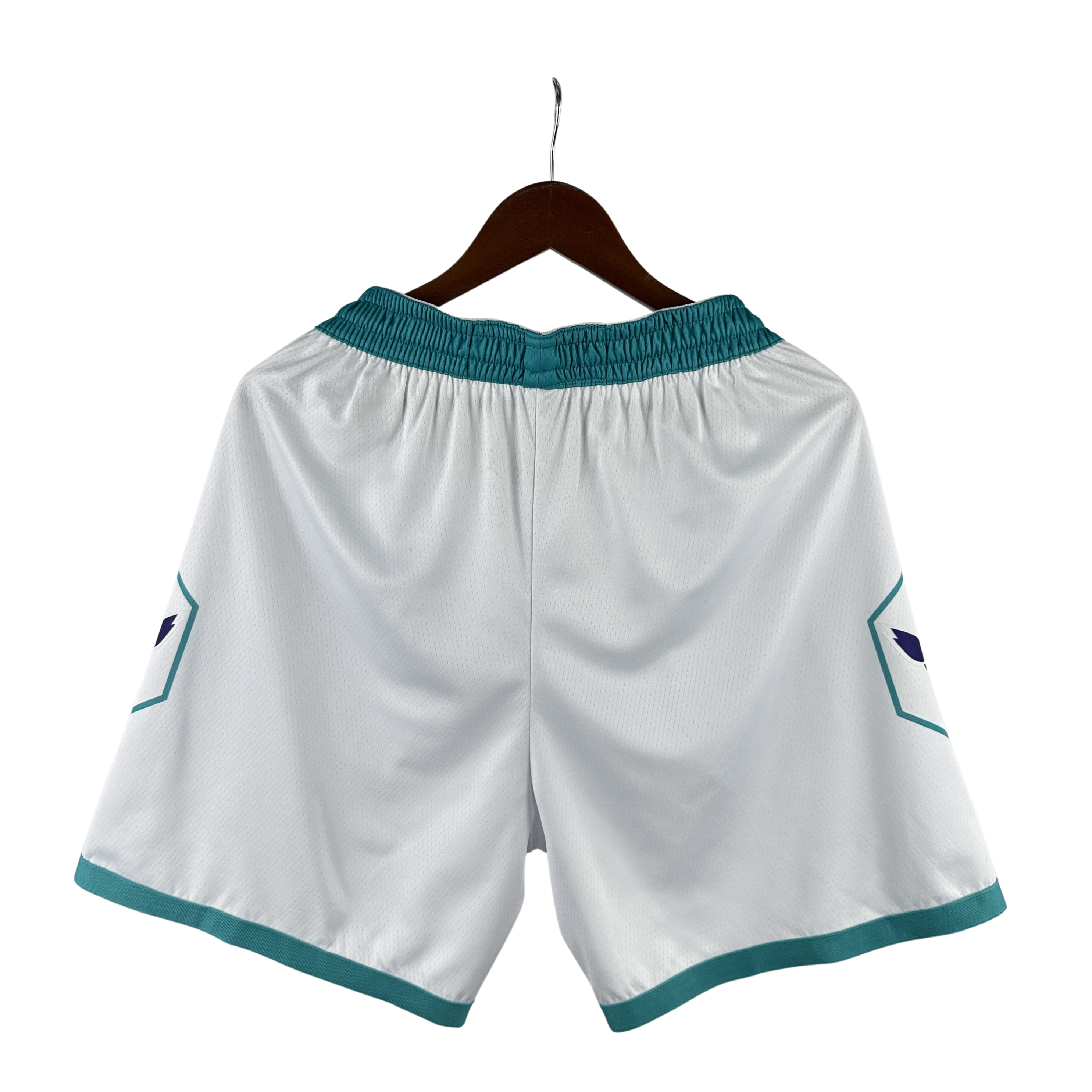NBA Jordan Charlotte Hornets Shorts