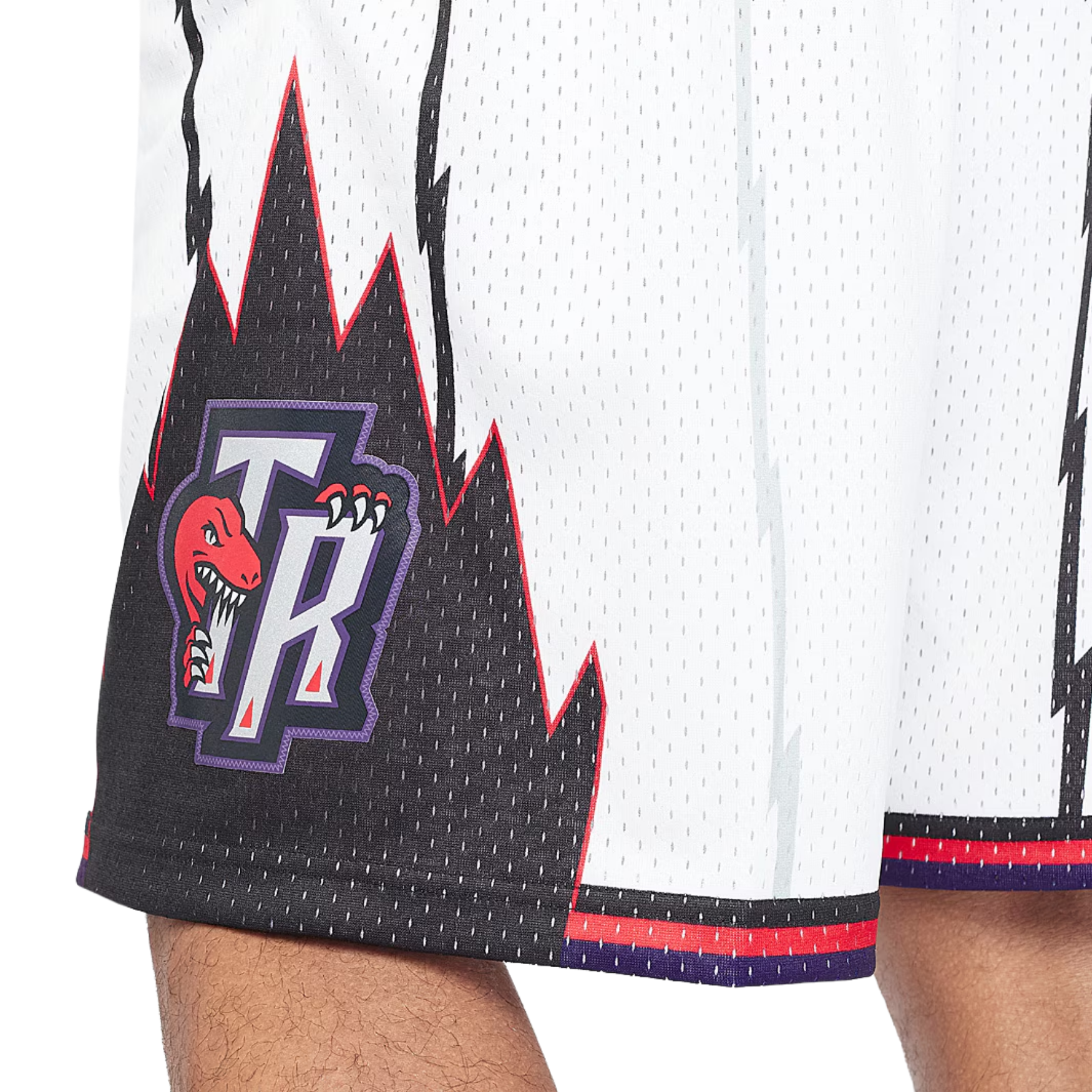 NBA Toronto Raptors Shorts