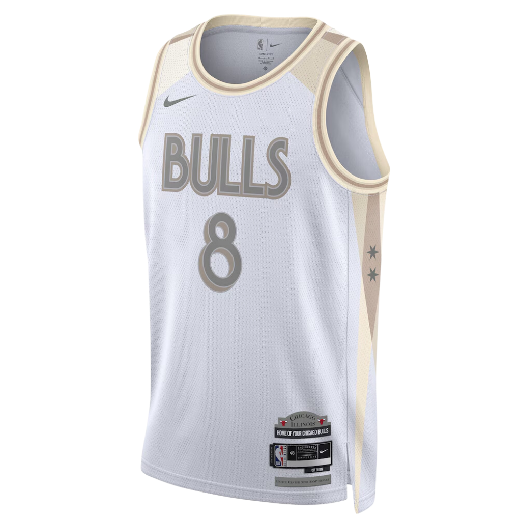 Nike NBA Chicago Bulls City Edition Jersey 2024/25